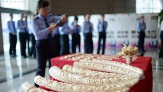 中国海关严厉打击洋垃圾走私,斩断走私链条 中国海关严厉打击洋垃圾走私,斩断走私链条